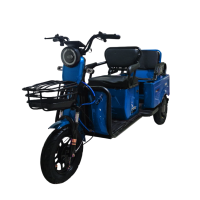 Электротрицикл Xchu Xdou Синий