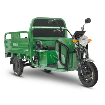 Грузовой электротрицикл Rutrike Вектор 1500 60V1200W Зеленый